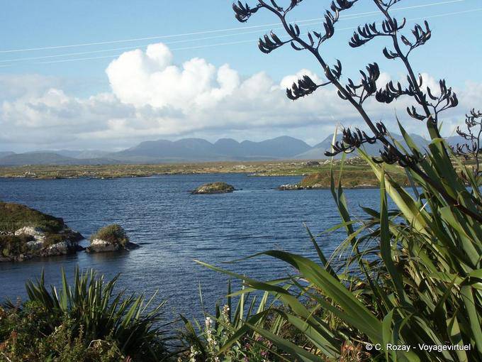 Connemara 333