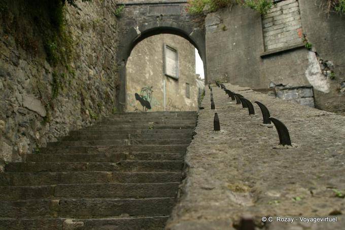 Kilkenny 236