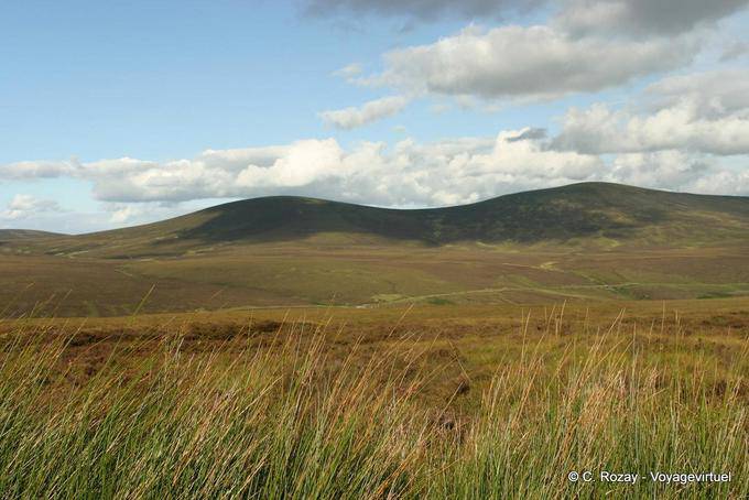 Wicklow Monts 739