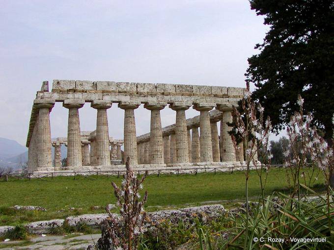 Paestum Hera 82