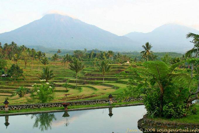 Java Paysage