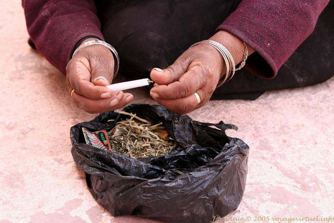 Tabac special Wadi El-Metaha 251