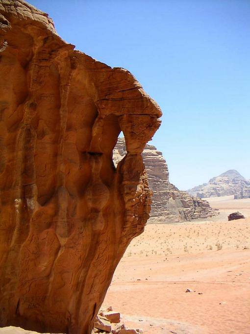 Wadi Rum 16