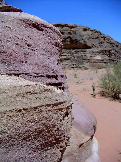 Wadi Rum 19