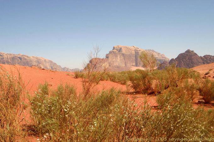 Wadi Rum 494
