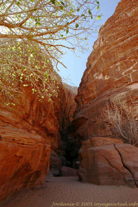 Wadi Rum 496