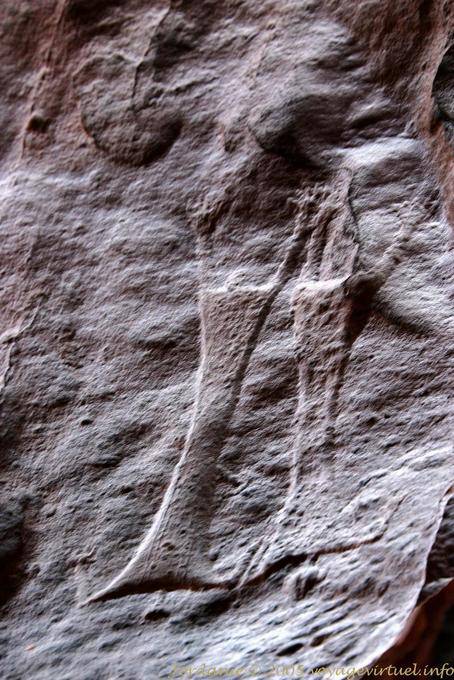 Wadi Rum Thamudic inscriptions 510