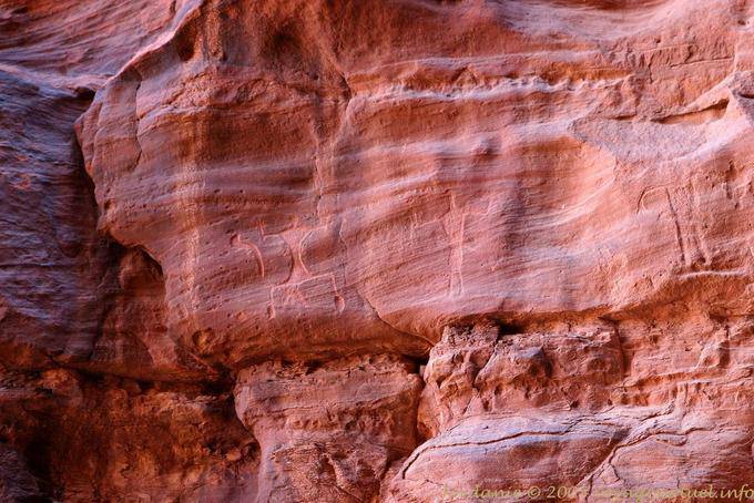 Wadi Rum Inscriptions Thamudique 517