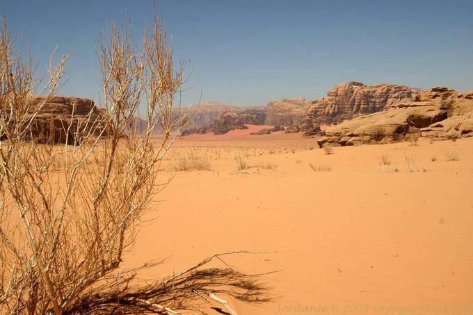 Wadi Rum 574