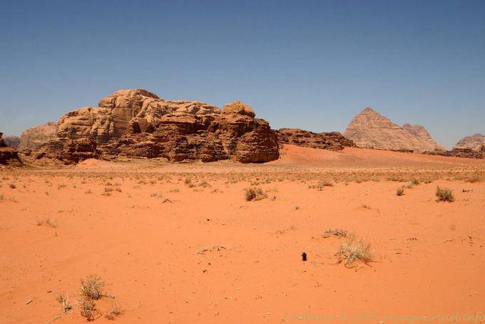 Wadi Rum 576