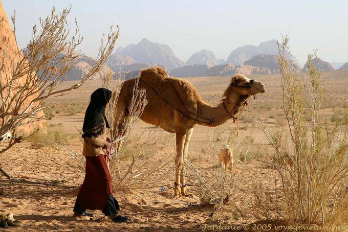 Wadi Rum 692