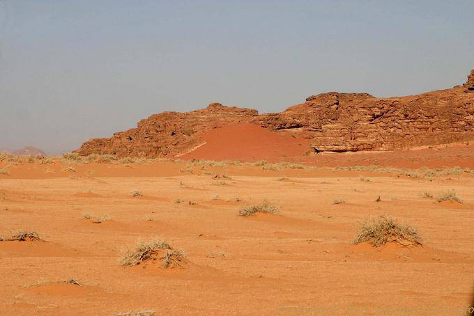 Wadi Rum 712