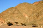 Aqaba 9394