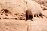 Wadi el Metaha Petra 230
