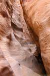 Gorges Wadi el Metaha Petra 309