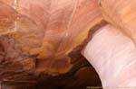 Wadi el Metaha Petra 332