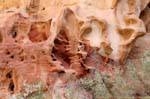 Wadi el Mudhlim Petra 195