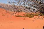 Wadi Rum desert 519