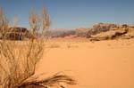 Wadi Rum desert 574