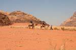 Wadi Rum desert 588