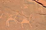 Wadi Rum 637