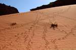 Wadi Rum desert 650