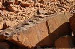 Wadi Rum desert 661