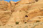 Wadi Rum desert 702