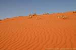 Wadi Rum desert 725