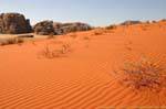 Wadi Rum desert 727