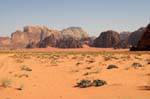 Wadi Rum 737