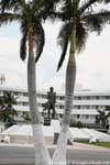 campeche avenida adolfo cortines statue entre palmiers