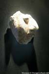 campeche_museo archeologia maya profil 17