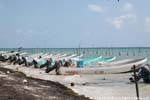cancun purto juarez 4