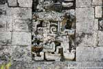 chicanna 43