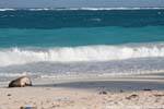 tulum site plage deserte 6