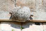 uxmal maison des tortues tortue sur facade