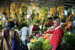 nuwara market 1 Sri Lanka