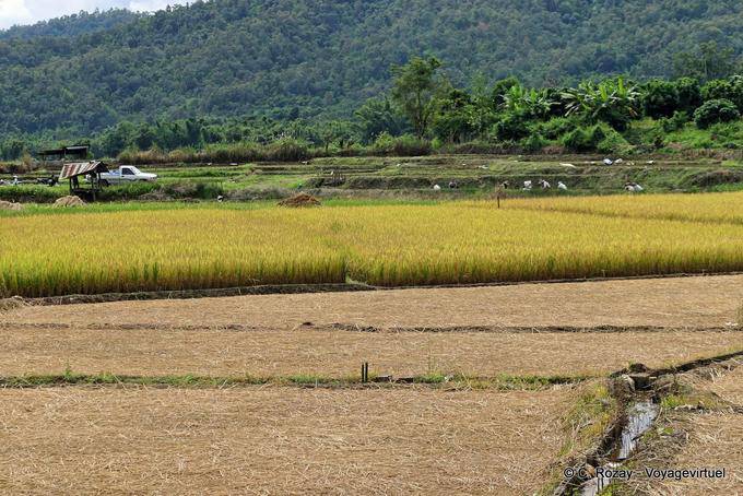 chiang-mai_thailand-13