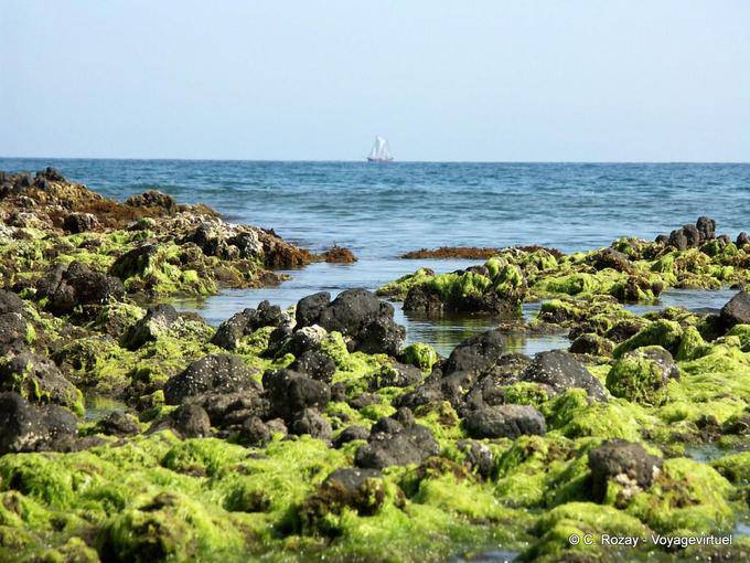 Las algas y barco frente a la Playa de Monsul, Cabo de Gata - España, Andalucia
