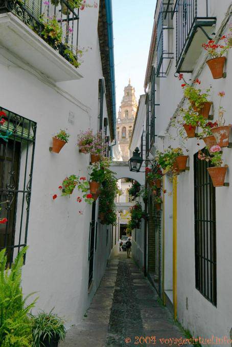 Medina y Corella, estrecho callejón, Córdoba - España, Andalucia