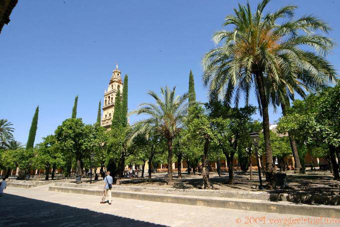 En el jardín del Patio de los Naranjos, Córdoba - España, Andalucia