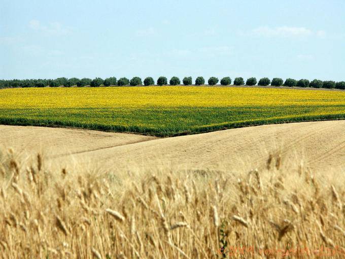 Geometría rústico Grazalema - España