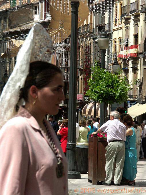 Tapa típica andaluza, Granada - España