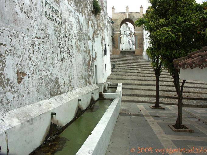 Fuente Salada, Medina Sidonia En - España