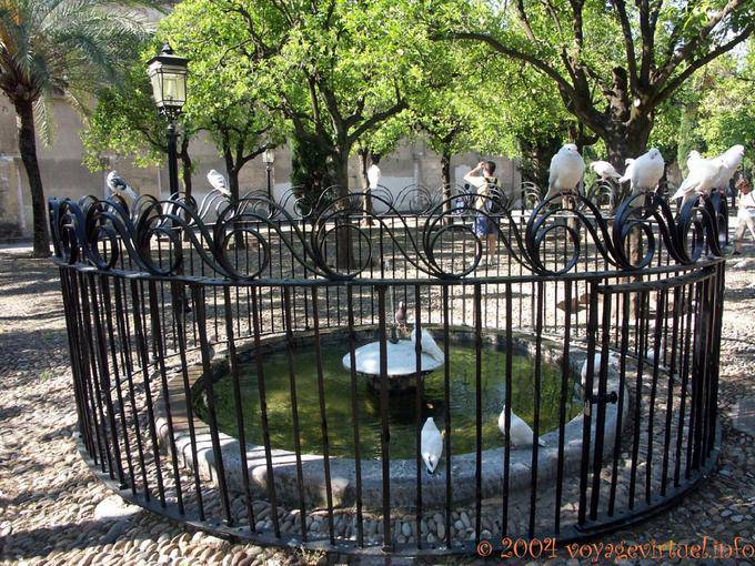 Palomas patio, Mezquita de Córdoba - España, Andalucia
