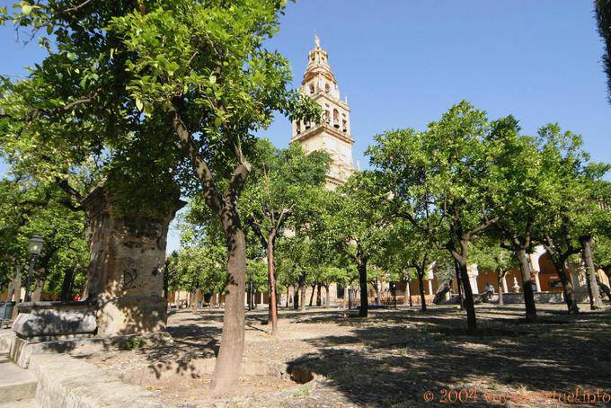 La Giralda vista desde el Patio de los Naranjos o patio naranja Mezquita de Córdoba - España, Andalucia