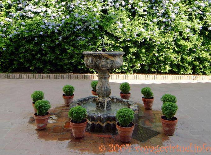 Composición Fuente en el Patio de los Jardineros, Palacio de Viana, Córdoba - España, Andalucia