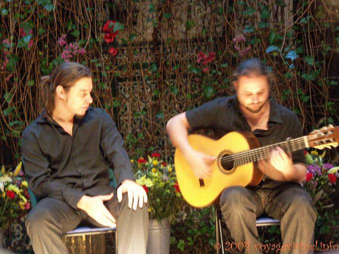 Músico en la guitarra, Sevilla Flamenco - España
