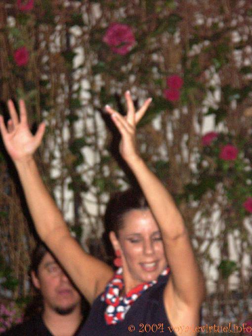 Bailarín del flamenco manos, Sevilla - España